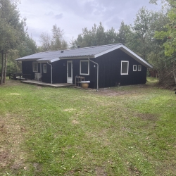 renovering af sommerhus tag